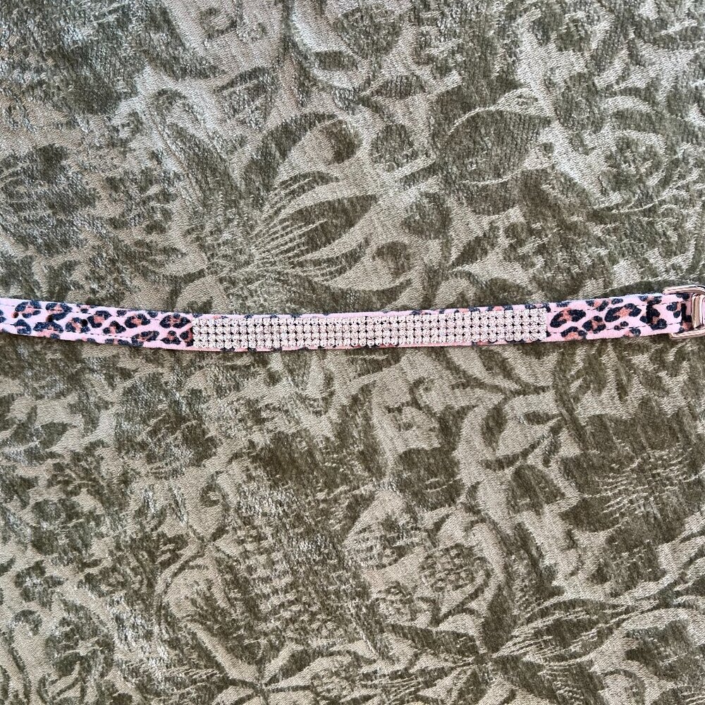 Susan Lanci 4-Row Rhinestone Giltmore Dog Collar Size Small